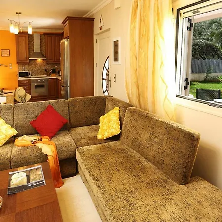 Teo Villa